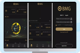 BMG虚拟币汇换系统USDT换汇系统